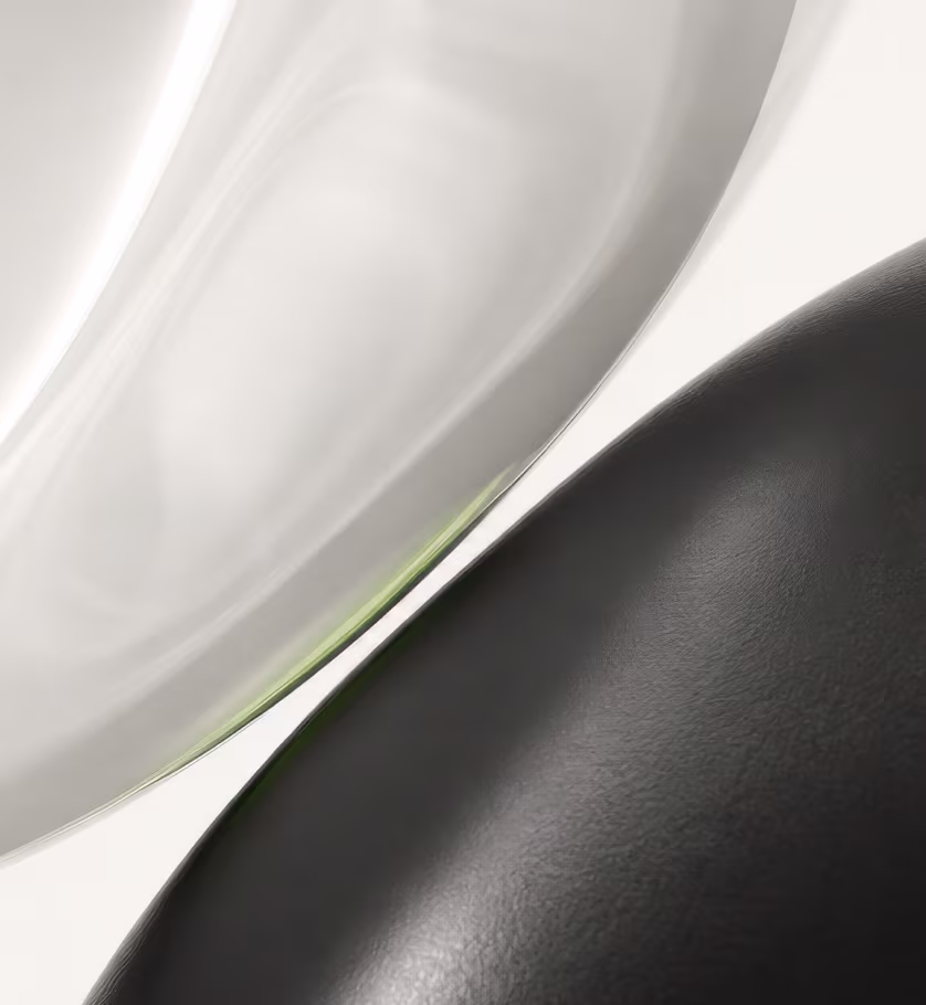 Soft white and black curved forms